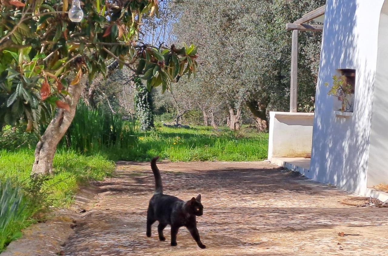 Casa Baronessa Villa Ceglie Messapica Exterior foto